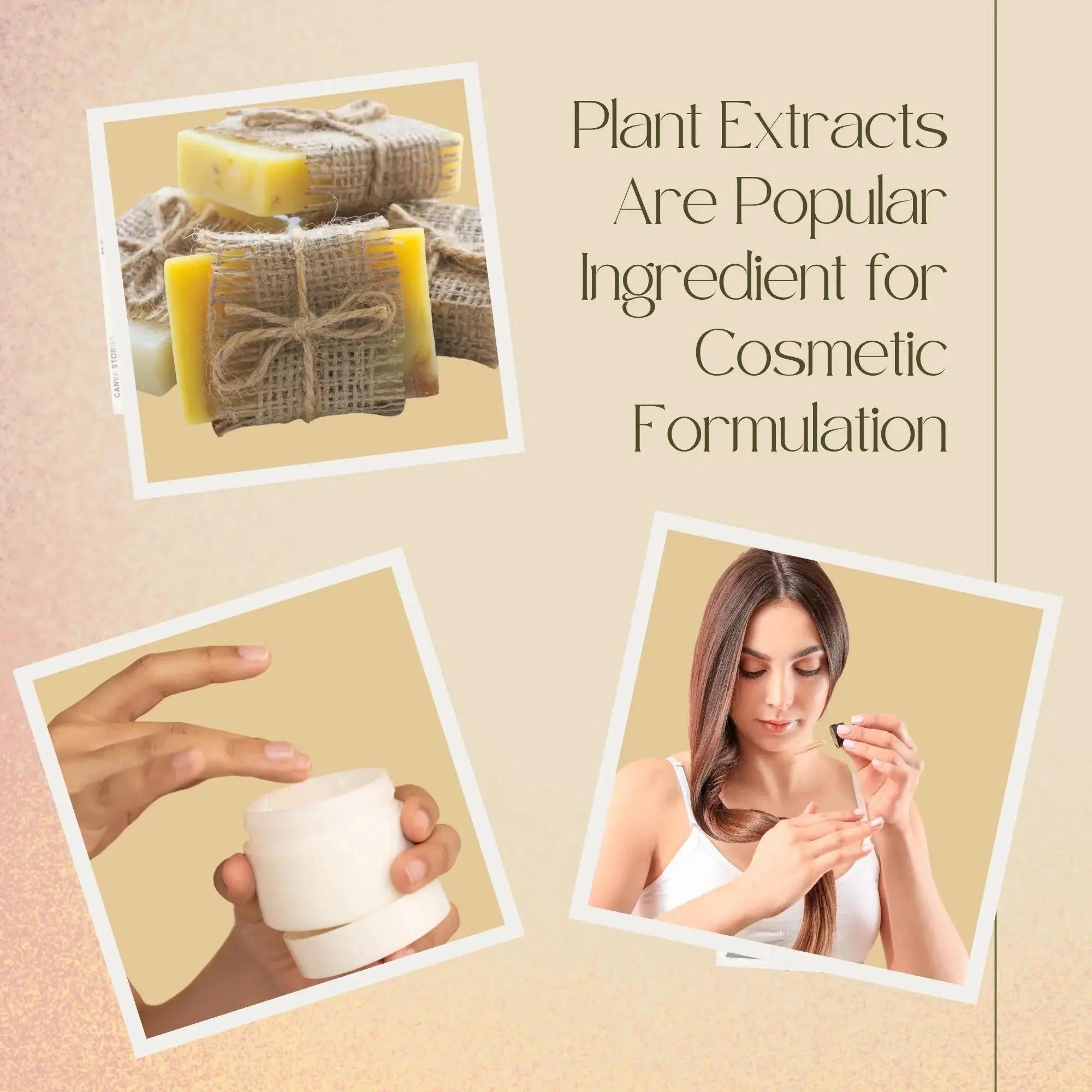 Экстракт Мыльного дерева высок – обзор и цена Hair Care For Hair Loss
